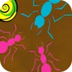 Ant Maze