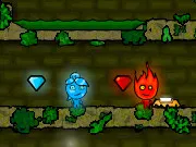 Fireboy And Watergirl: The Forest Temple