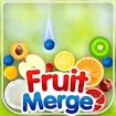 Fruit Merge