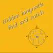 Hidden labyrinth - find and catch