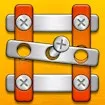 Nuts & Bolts Unscrew Puzzle