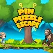 Pin Puzzle Escape