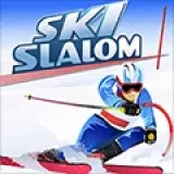 Ski Slalom