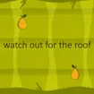 watch out for the roof